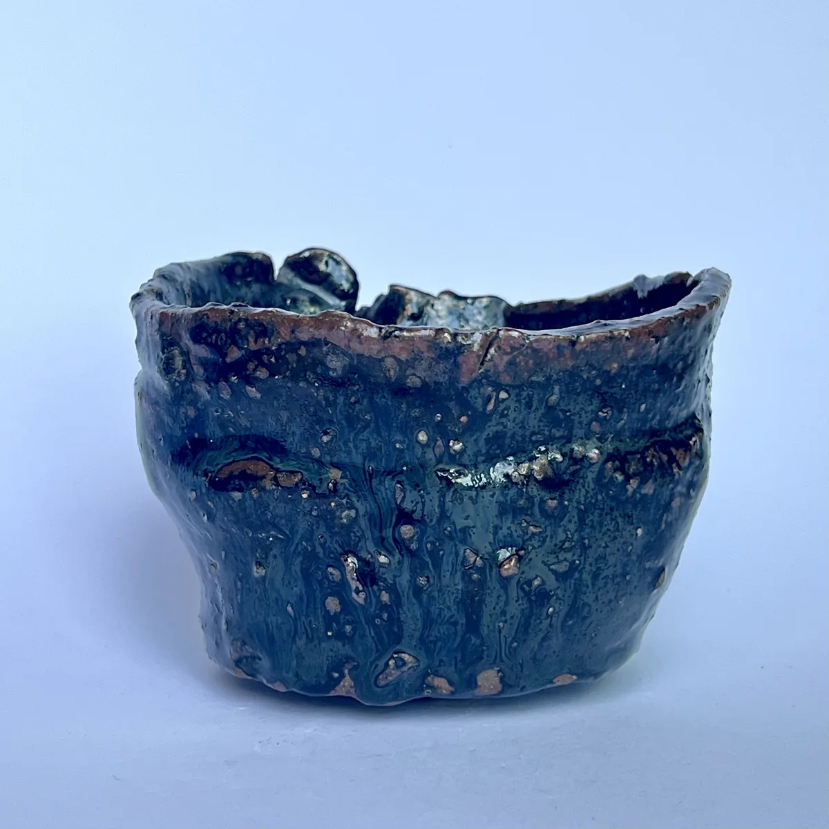 黒竹節 - 画像 (3)