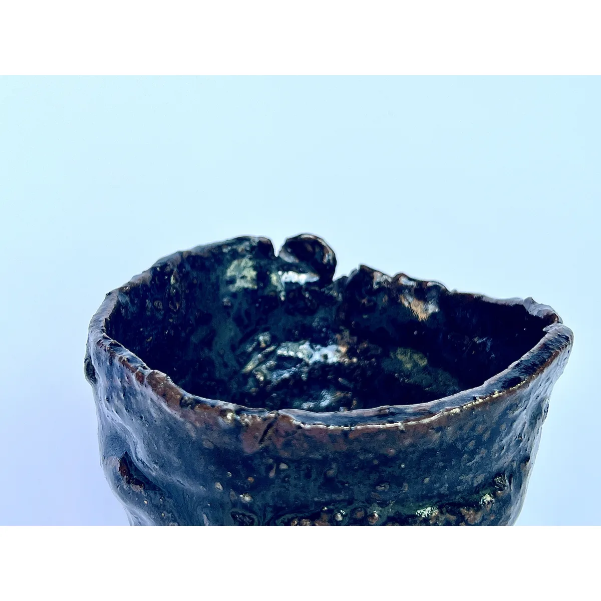 黒竹節 - 画像 (6)