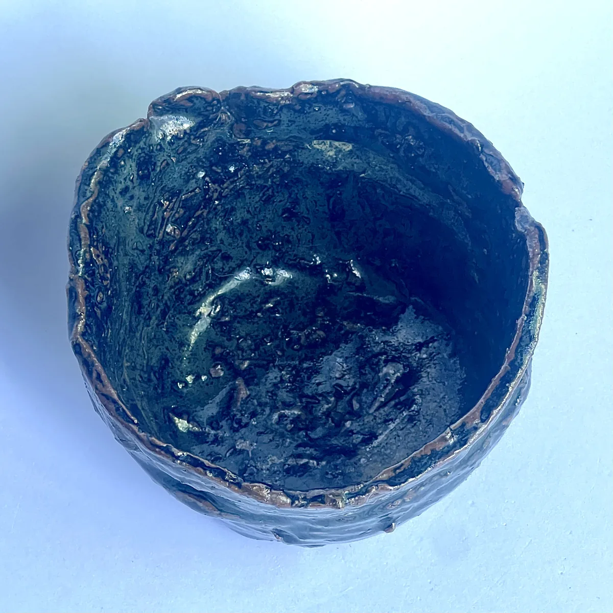 黒竹節 - 画像 (7)