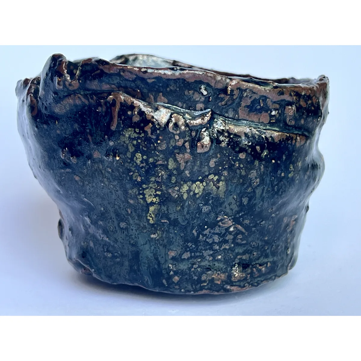 黒竹節 - 画像 (11)